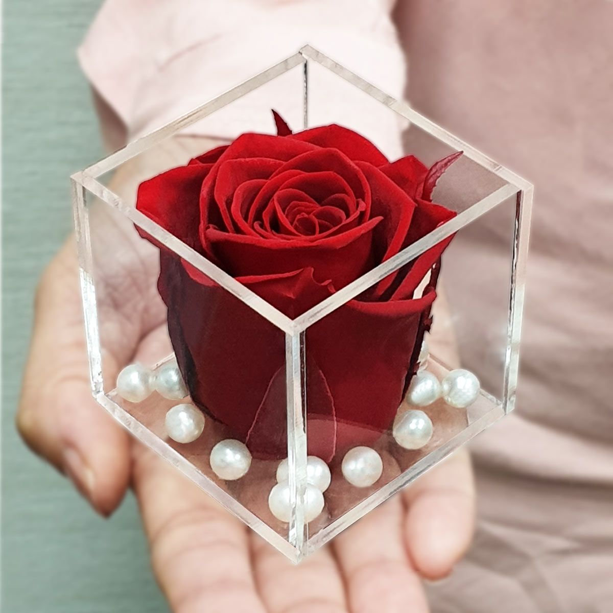 Amazon.com: Gifts for Women - Rose Bear - Rose Flower Bear Hand Made Rose  Teddy Bear - Gift for Valentines Day, Mothers Day, Wedding and Anniversary  & Bridal Showers - w/Clear Clear