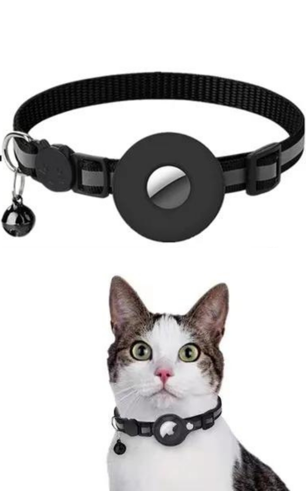 Collier GPS chat et caméra : découvrez la vie secrète de votre félin !