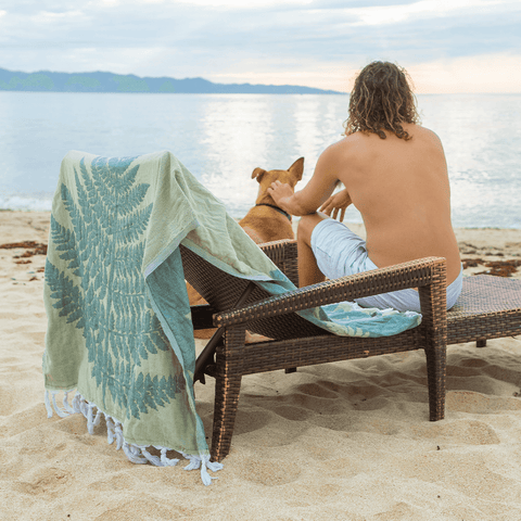 Man sitting on a bench at the beach with a dog. Green leaf patterned Turkish towel draped over the chair.