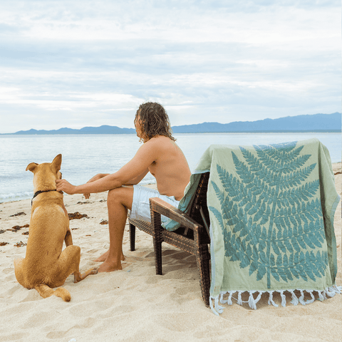 Man with dog on the beach looking into the ocean with a green fern Turkish towel hanging from the chair