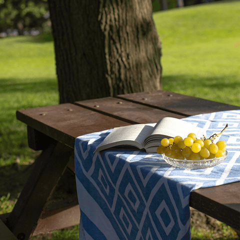 A blue diamond patterned Pomp & Sass towel used as a picnic blanket, with grapes and a book on top.