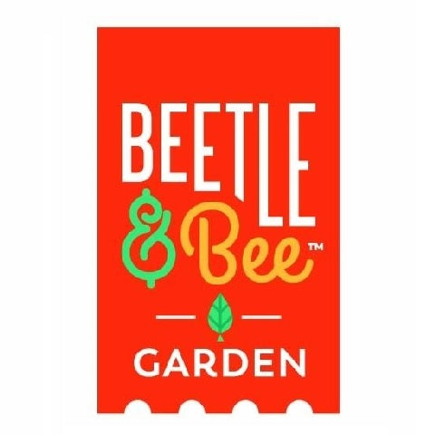 Beetle & Bee