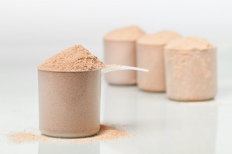 4 plastic scoops of protein powder against a white background