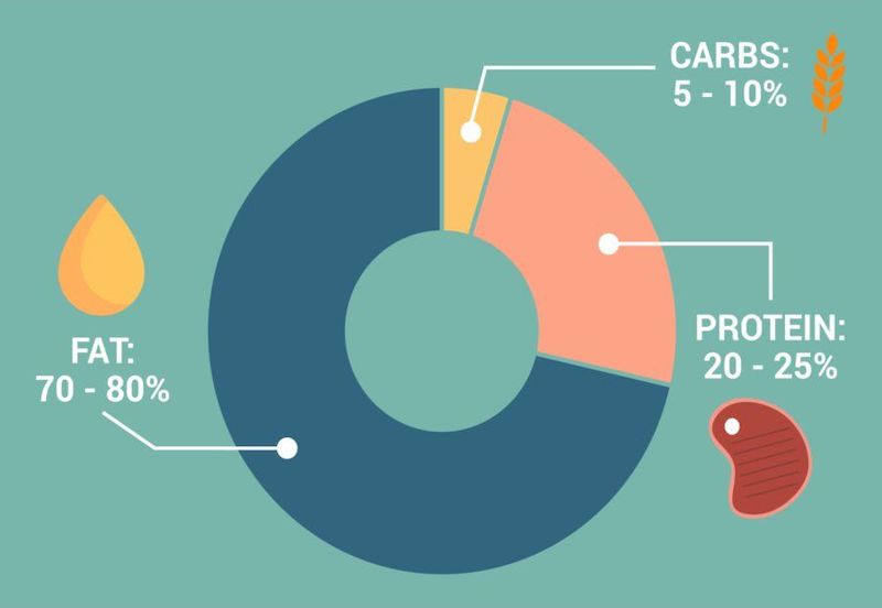 Graph showing the percentages of nutrients on the keto diet