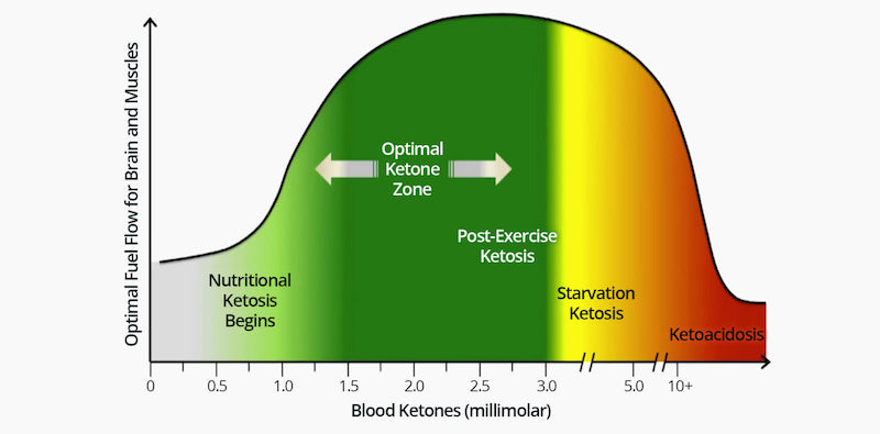 Graph showing the optimal levels of ketosis