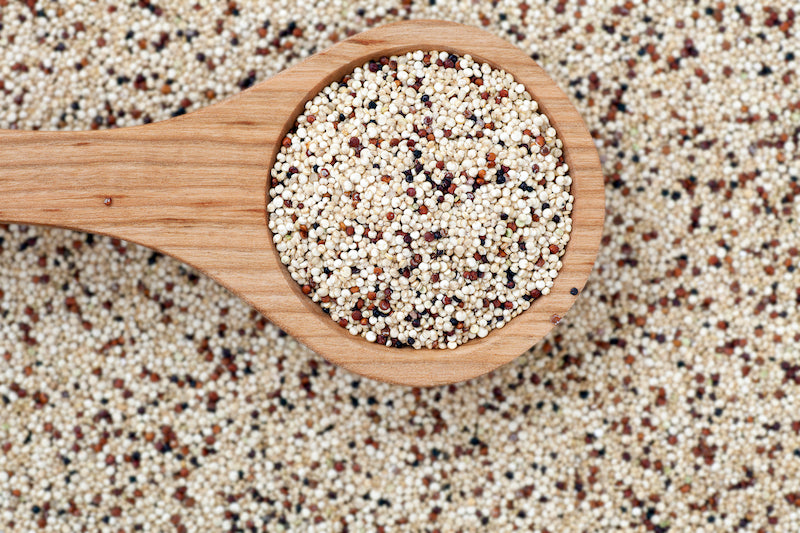 Wooden spoon of quinoa against a background of quinoa 