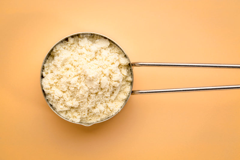 Metal scoop of grass-fed whey protein powder