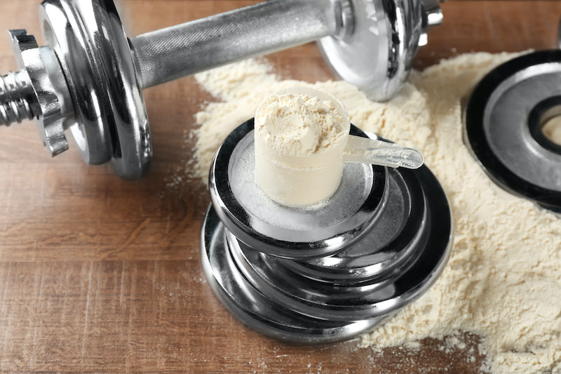 Scoop of protein powder on a pile of gym weight plates