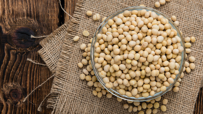 Aerial view of soy beans in a glass bowl 