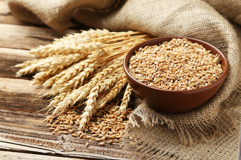 Wheat next to wheat grains in a wooden bowl