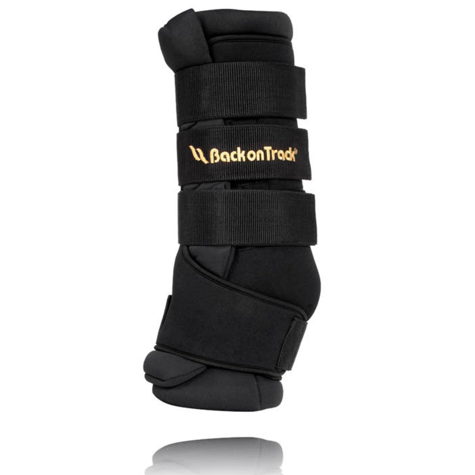Therapeutic Back Brace - Back On Track Products Australia