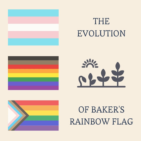 Evolution of the pride flag