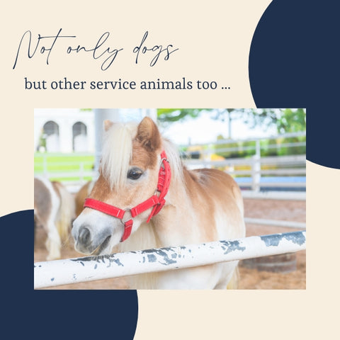 not only dogs service animals