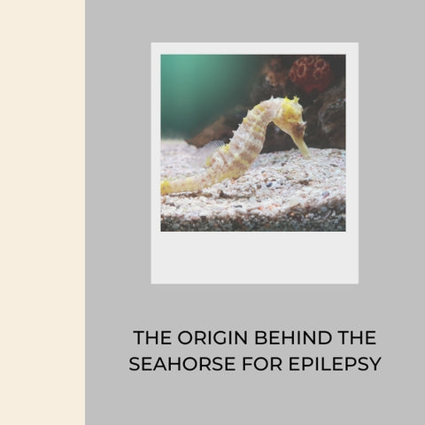 origin-behind-seahorse-for-epilepsy