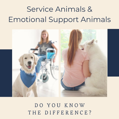 service animals and esa