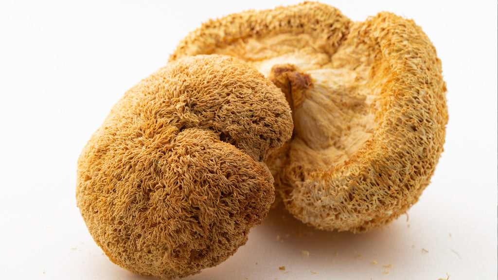 Lion's Mane dry mushroom