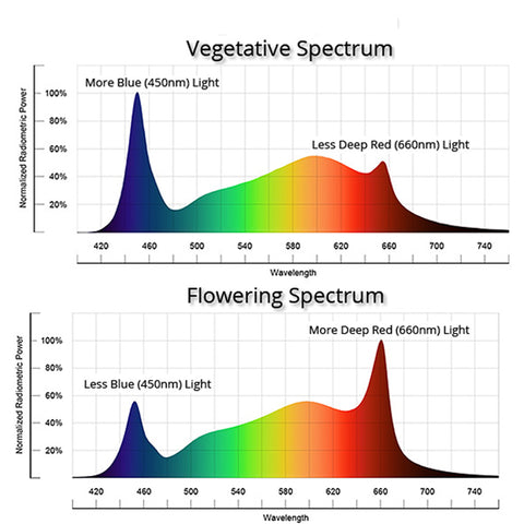 Growers Republic™ Cannabis LED Grow Light