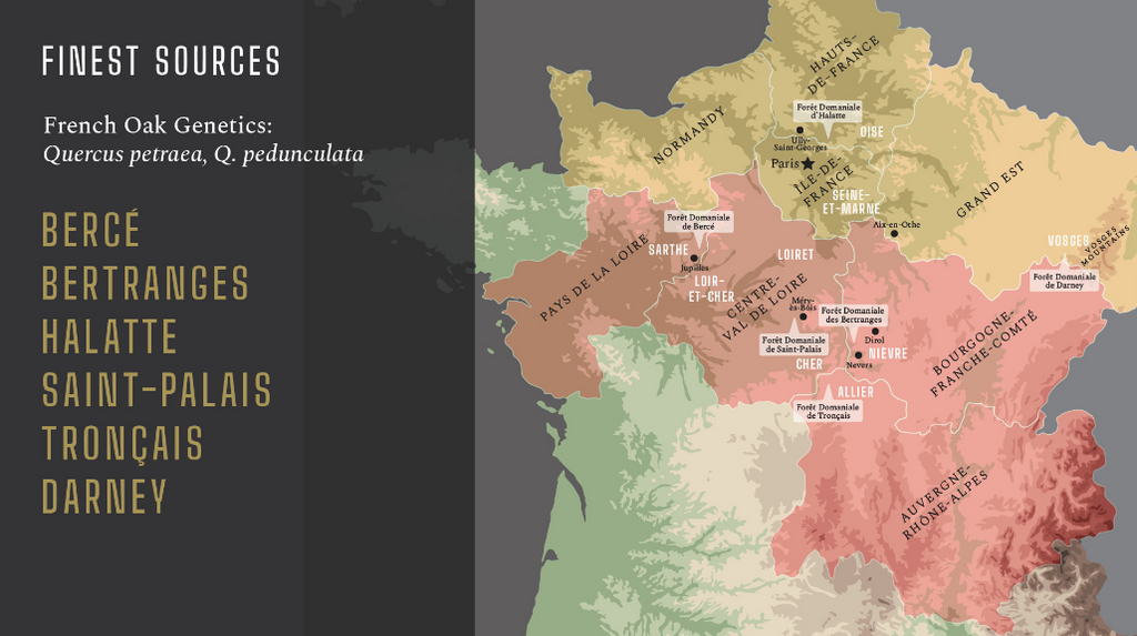 mapa_bosques_roble_frances_hacer_vino_barrica_barril