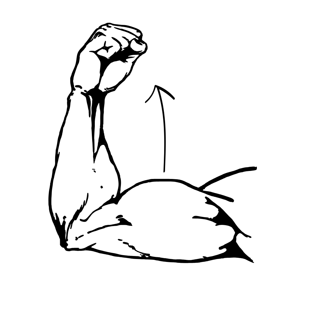 32.png__PID:08529a41-8f09-4ea7-a5f2-357438a2c907