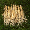 big_ginseng_t_2.a698714e8153ad588227403c19962674.jpg