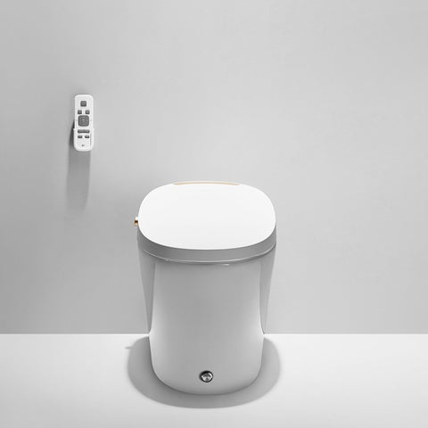 Front view of DPhome DPTO0001 smart toliet
