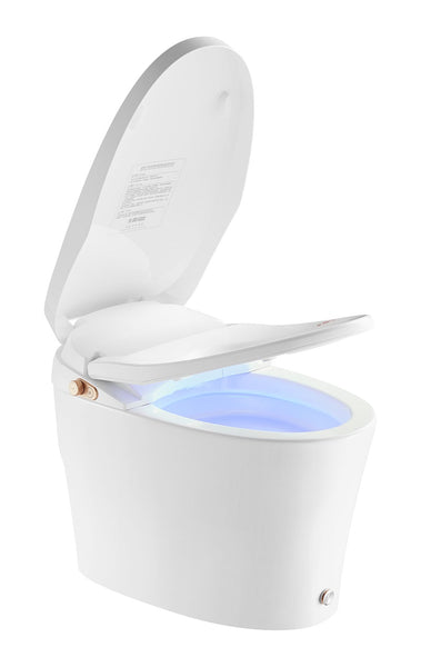 whole DPTO0001 smart toliet in DPhome