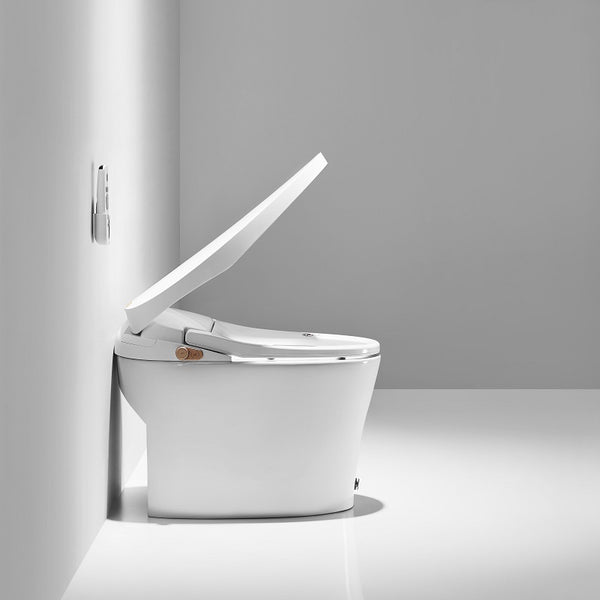 DPTO0001 smart toliet 90 degree side view