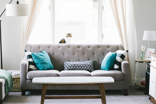 a white top wood base coffee table in front of the grey sofa with five pillow and one cat