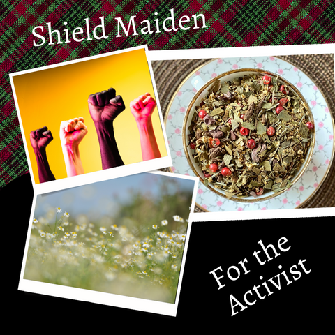 Shield Maiden: For the Activist
