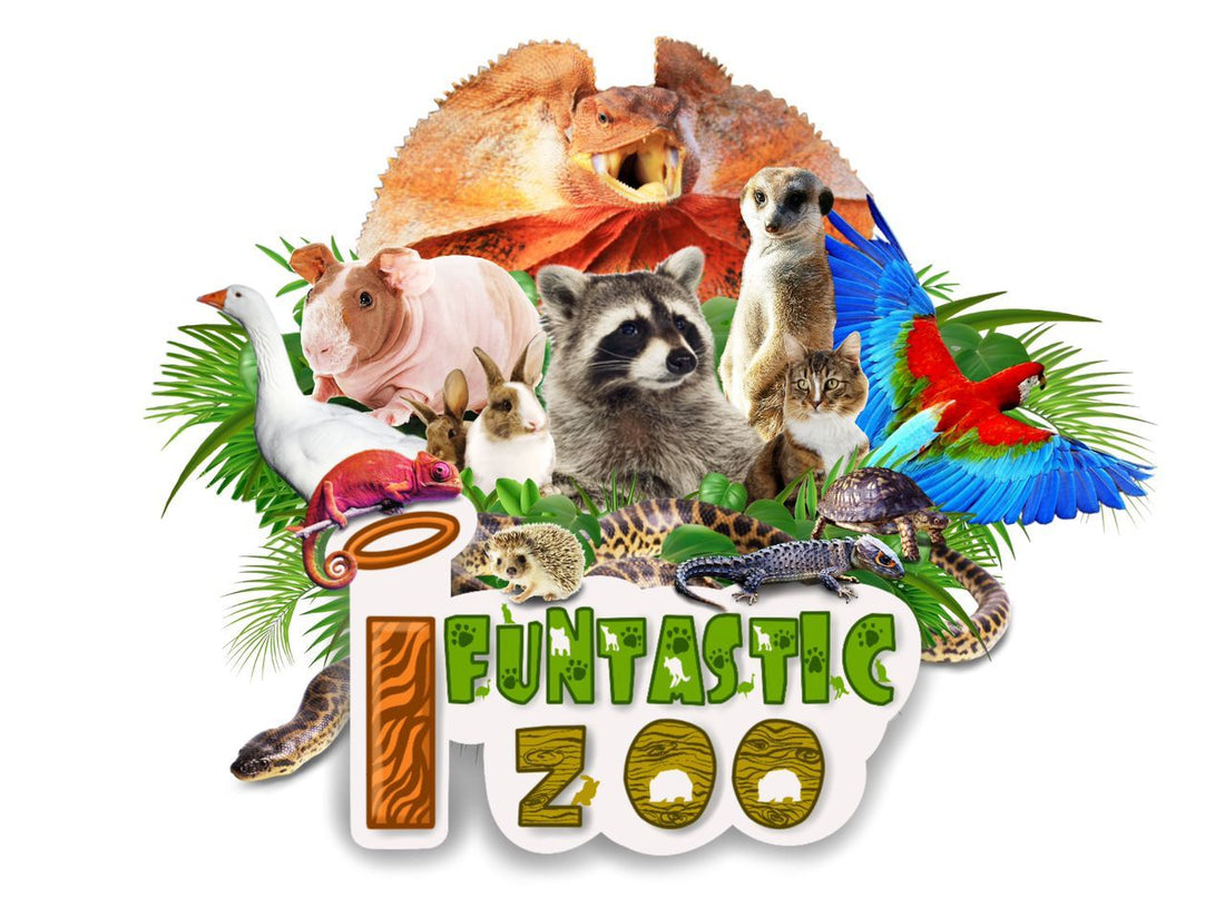 i-Funtastic Zoo – i-City Affiliate