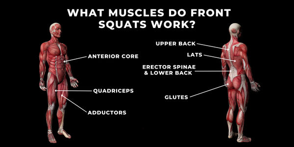 Muscles Worked During a Front Squat