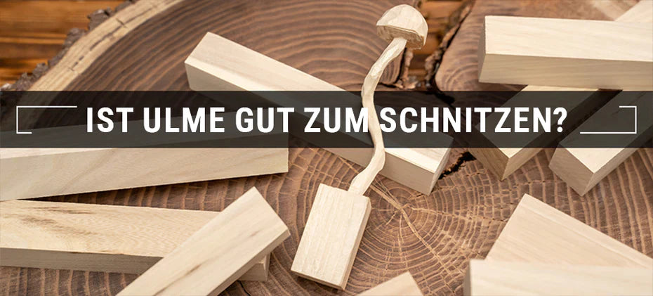 elm for wood carving