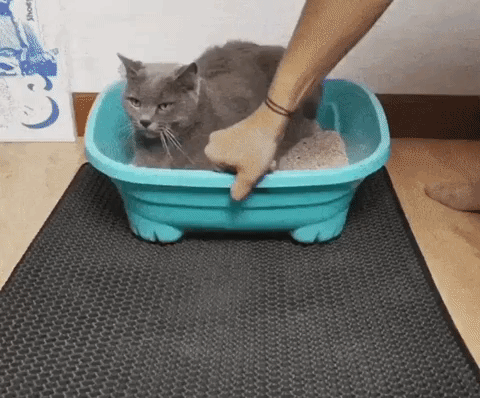 Cat Litter Mat – Wonderpaws
