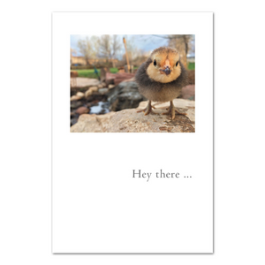Hey There Card