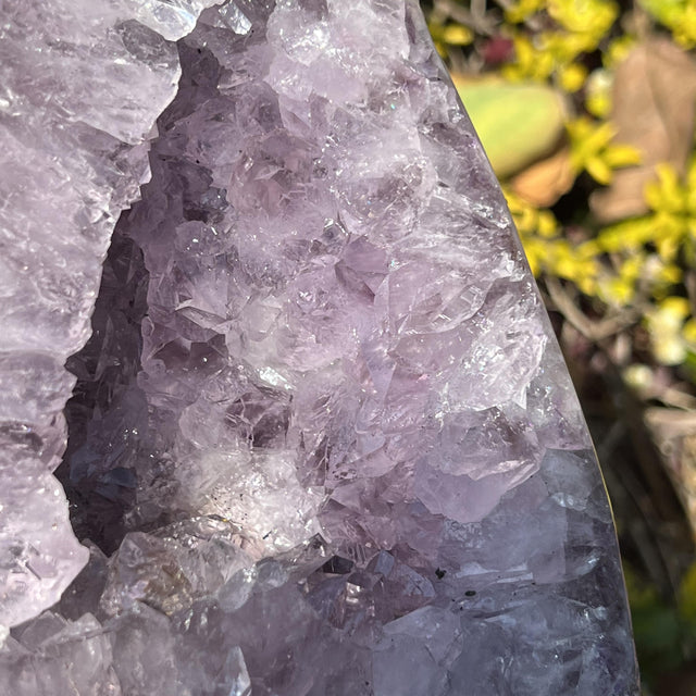 Product Image of Amethyst Geode #2
