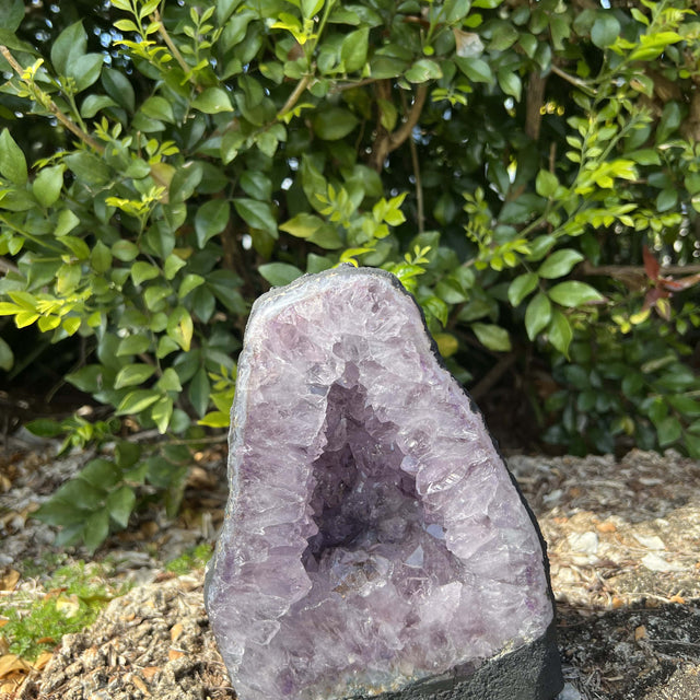 Product Image of Amethyst Geode #1