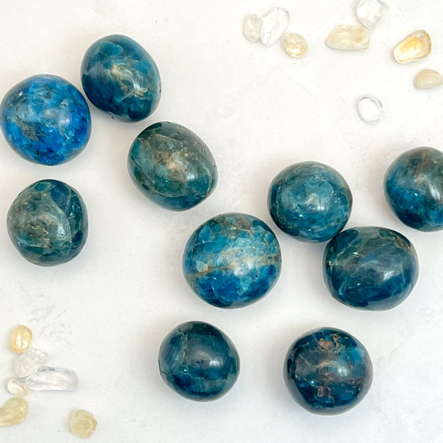 Product Image of Apatite Large Tumble #1