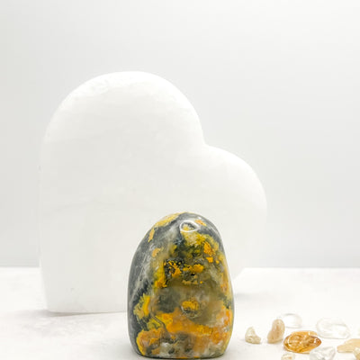 Bumblebee Jasper