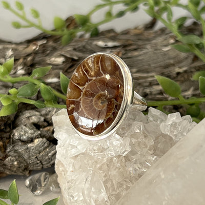Fossil Oval Sterling Silver Ring