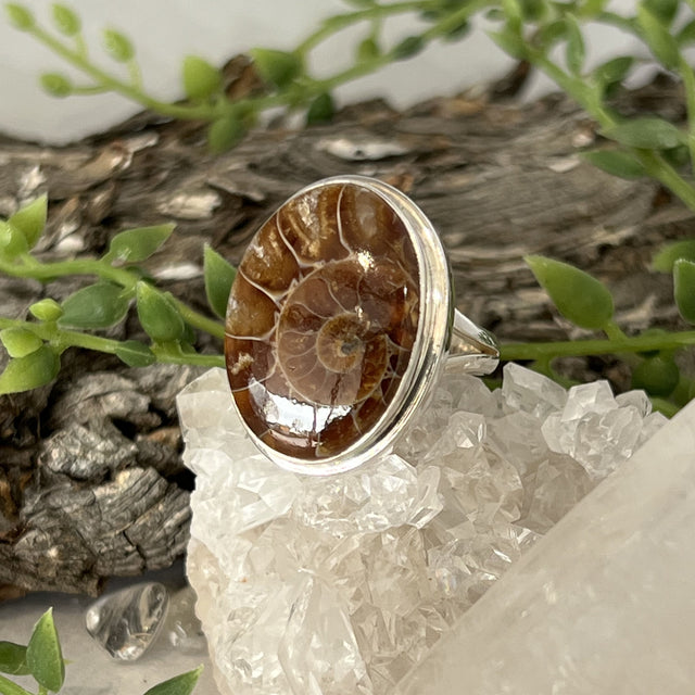 Product Image of Fossil Oval Sterling Silver Ring #1
