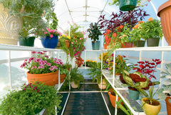 Light diffused inside a greenhouse with plastic covering