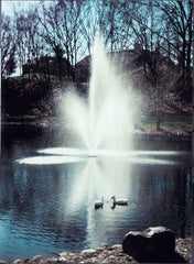 Scott Aerator Clover Fountain