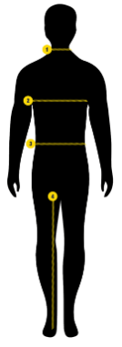 Bisley Size Chart – Absafe