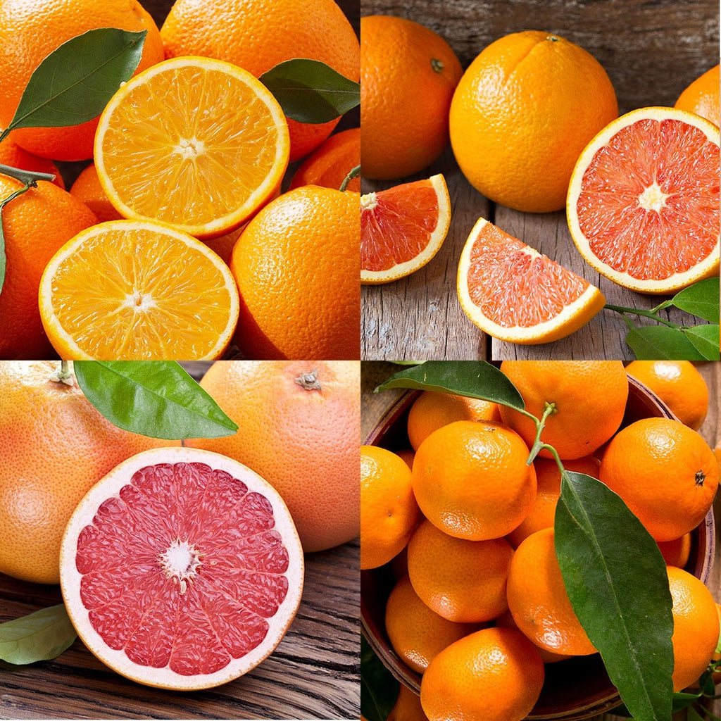 采购产品脐橙，卡拉卡拉橙，红葡萄柚，和橘子