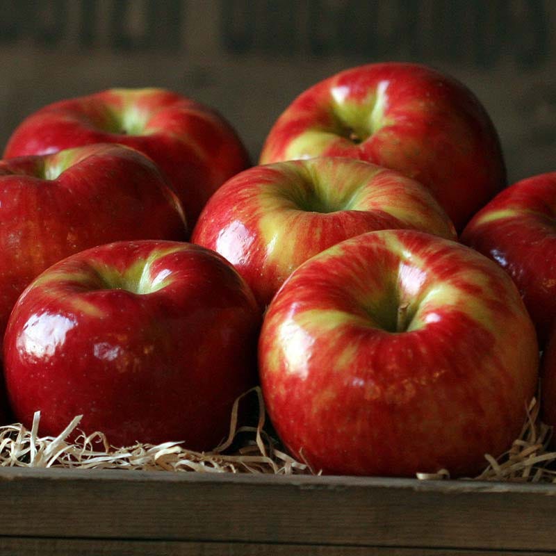 Build-A-Box Organic Apples