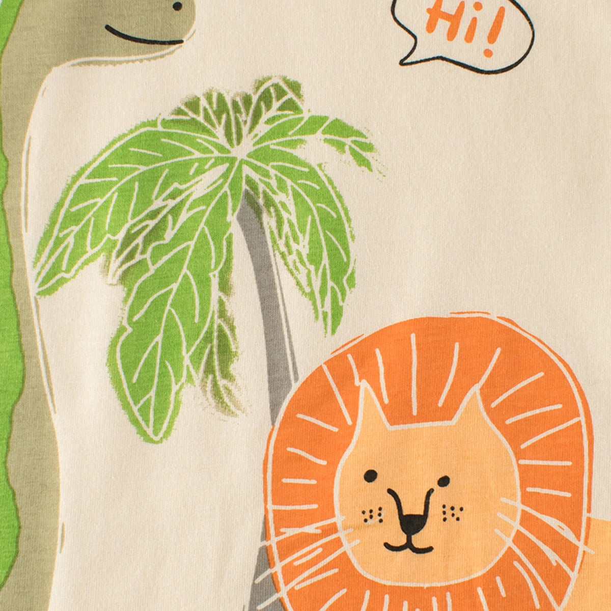 Boys Graphic Lion Printed Raglan Sleeves T-Shirt Tshirts