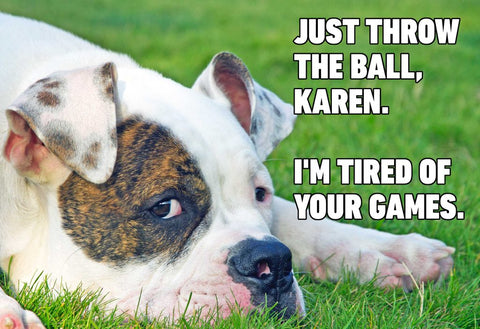 dog meme just throw the ball karen