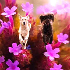 Dogs In Flowers Motiv mit 2 Hunden
