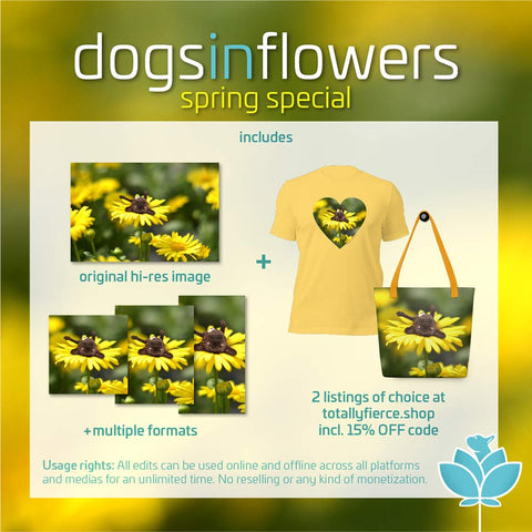 Das Paket des Dogs In Flowers Frühlings-Spezial im Überblick