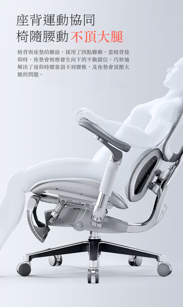 Sihoo S300 Executive Ergonomic Office Mesh Chair – KZCHAIR